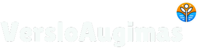 VersloAugimas