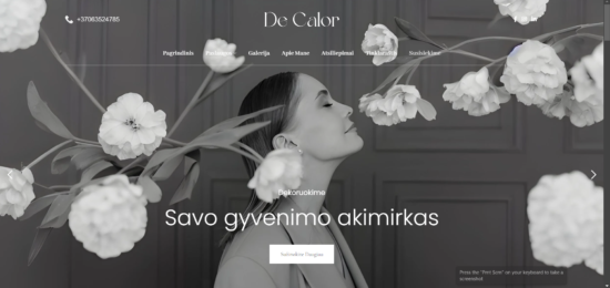 decalor.lt